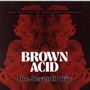 Various-Brown Acid The Seventh Trip (Heavy Rock From The Underground Comedown)-CD