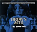 Various-Brown Acid The Sixth Trip (Heavy Rock From The Underground Comedown)-CD
