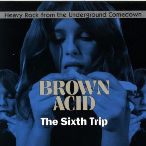 Various-Brown Acid The Sixth Trip (Heavy Rock From The Underground Comedown)-CD