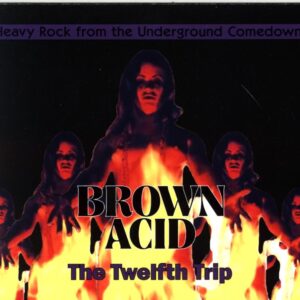 Various-Brown Acid The Twelfth Trip (Heavy Rock From The Underground Comedown)-CD