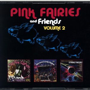 Various-Pink Fairies And Friends Volume 2-CD