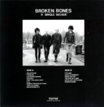 Broken Bones-A Single Decade-LP Vinyl