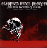 Crippled Black Phoenix-New Dark Age Tour EP 2015 A.D. signed silver-12 Vinyl
