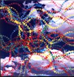 !!!-Louden Up Now-LP Vinyl