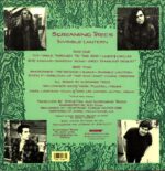 Screaming Trees-Invisible Lantern US 1988-LP Vinyl