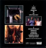 Vanilla Trainwreck-Sounding To Try Like You-LP Vinyl