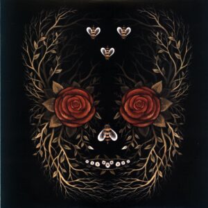 Young Widows-In And Out Of Youth And Lightness-LP Vinyl