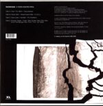 Radiohead-A Moon Shaped Pool Reissue 2022-LP Vinyl