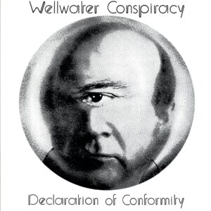 The Wellwater Conspiracy-Declaration Of Conformity US 1997-LP Vinyl